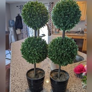 NWOT Topiary Trees